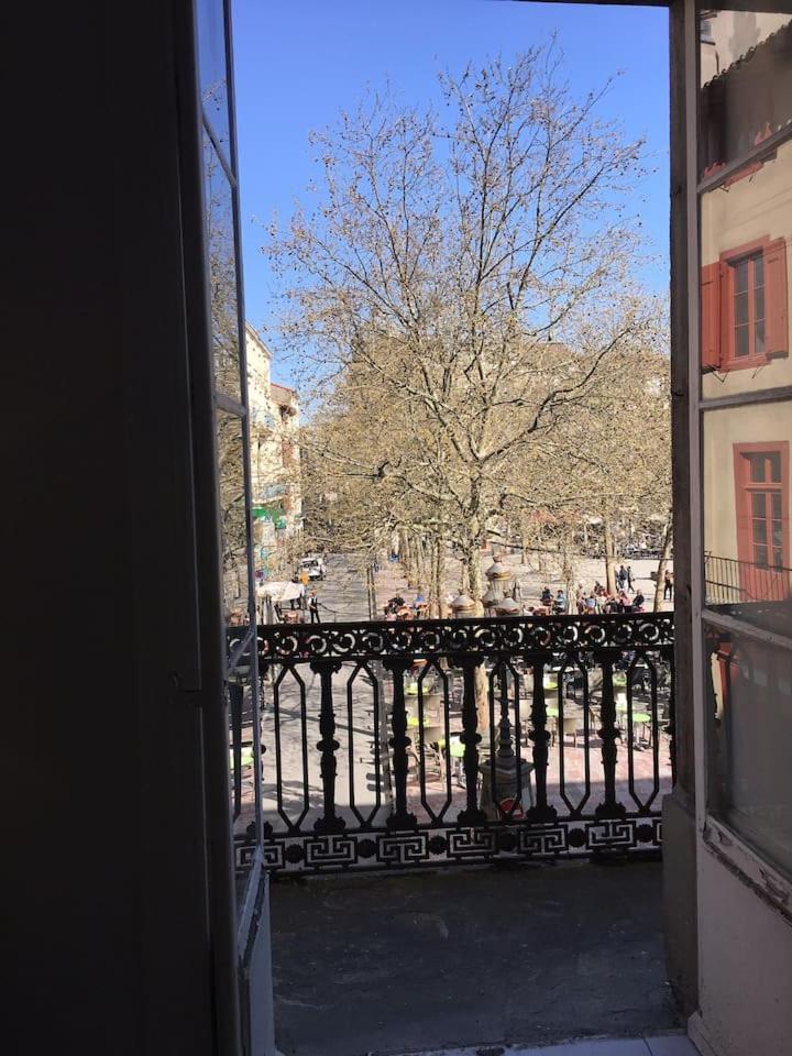 Place Carnot Carcassone Kültér fotó